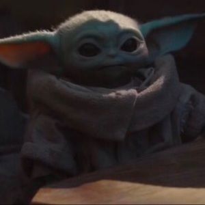 Meet your Posher, Devin